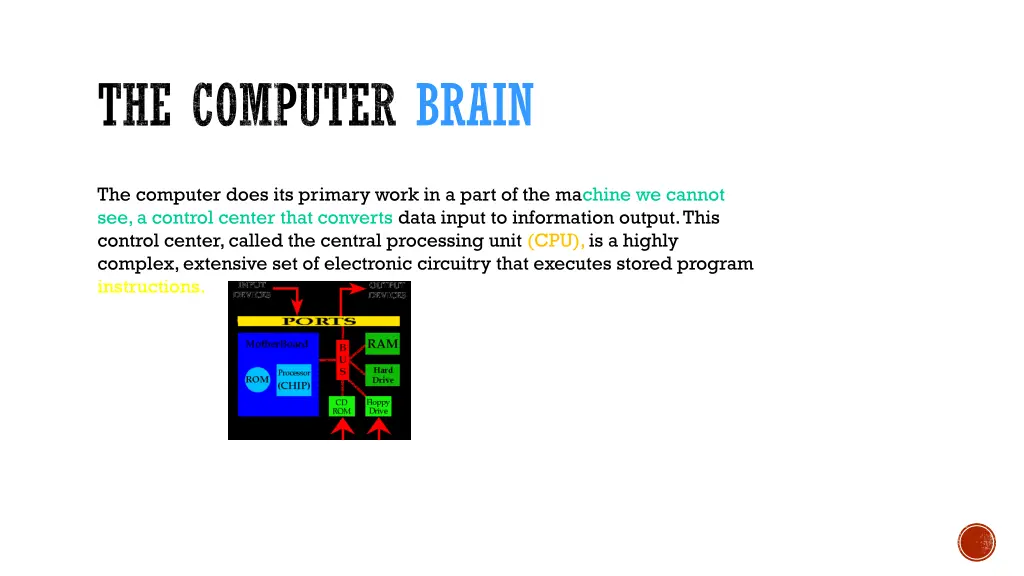 the computer brain