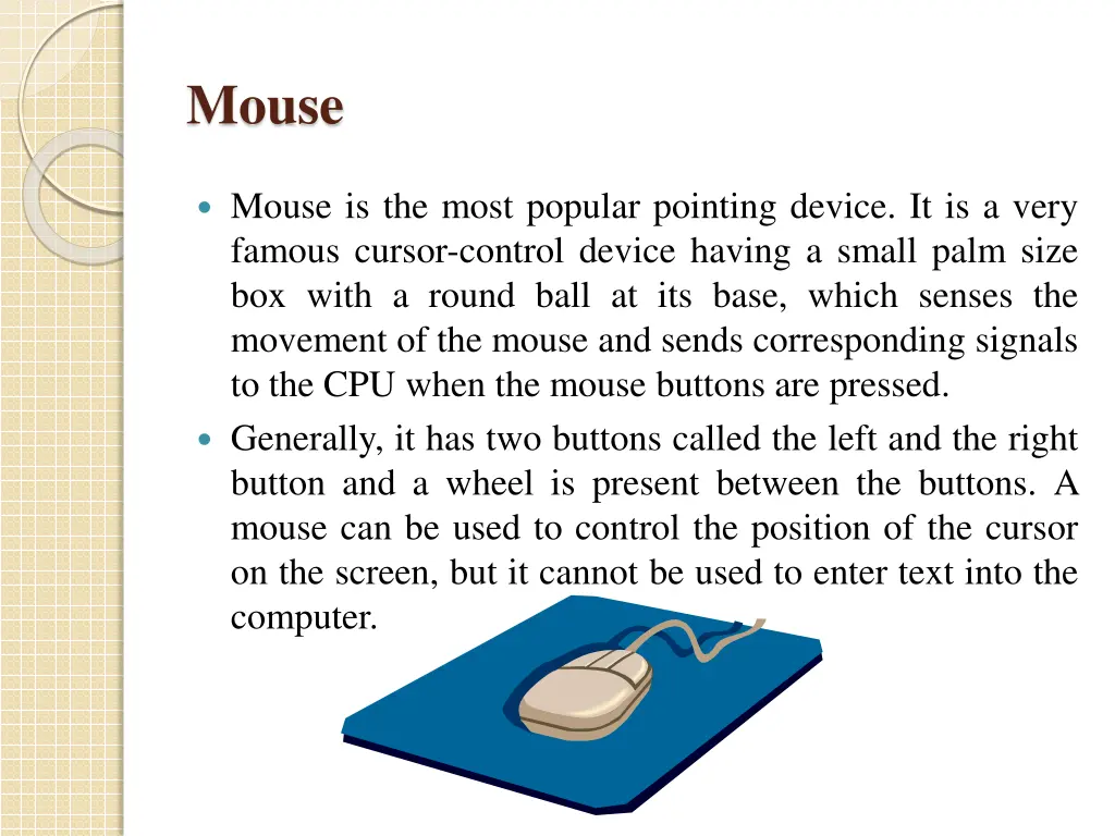 mouse