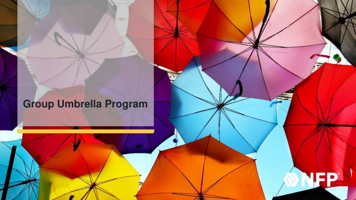 group umbrella program