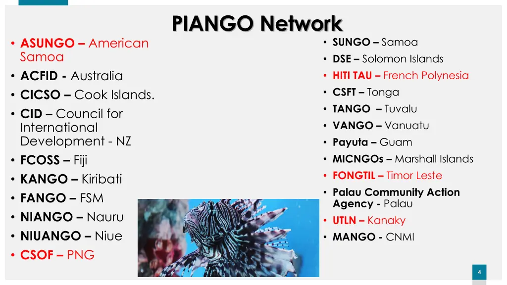 piango network