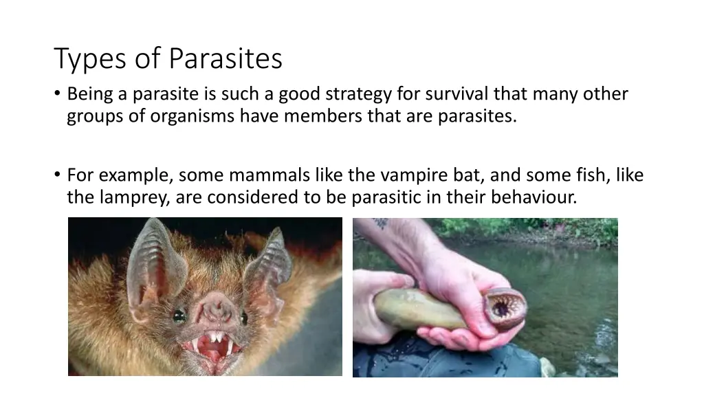 types of parasites being a parasite is such