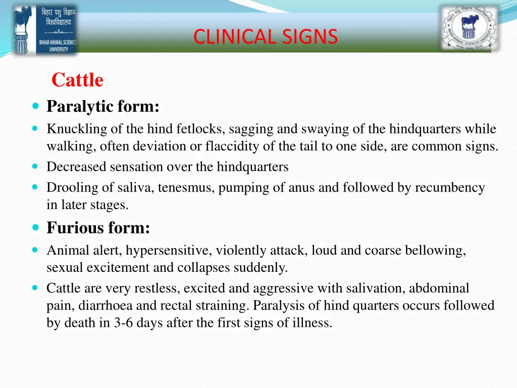 clinical signs 1