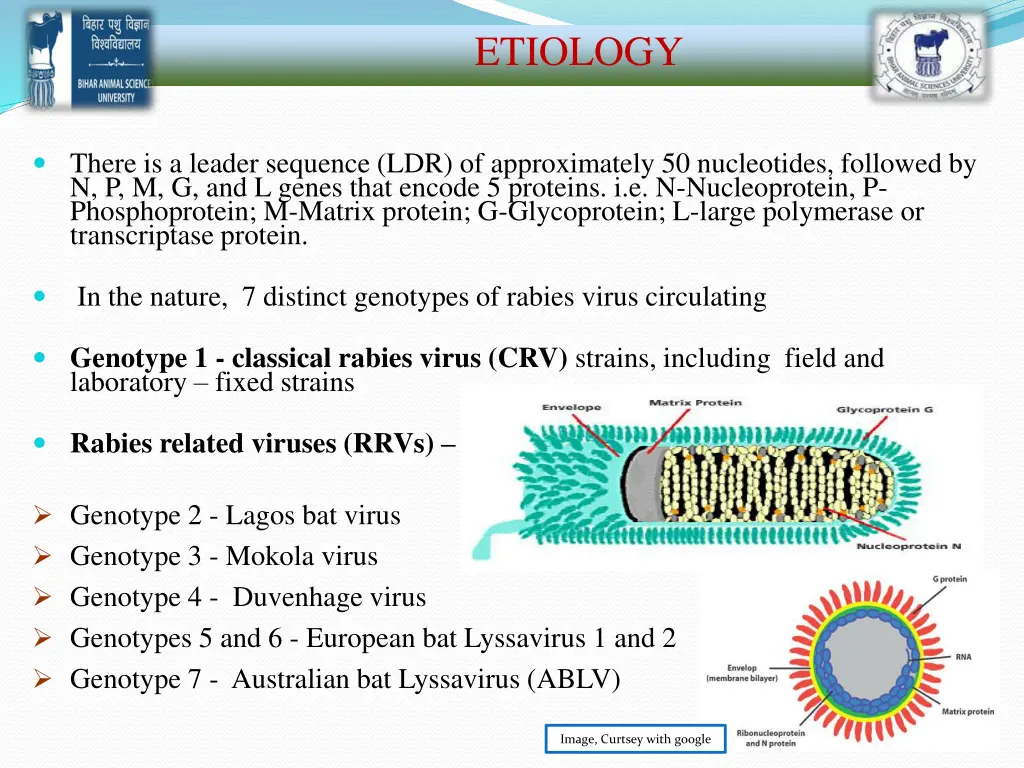 etiology 1