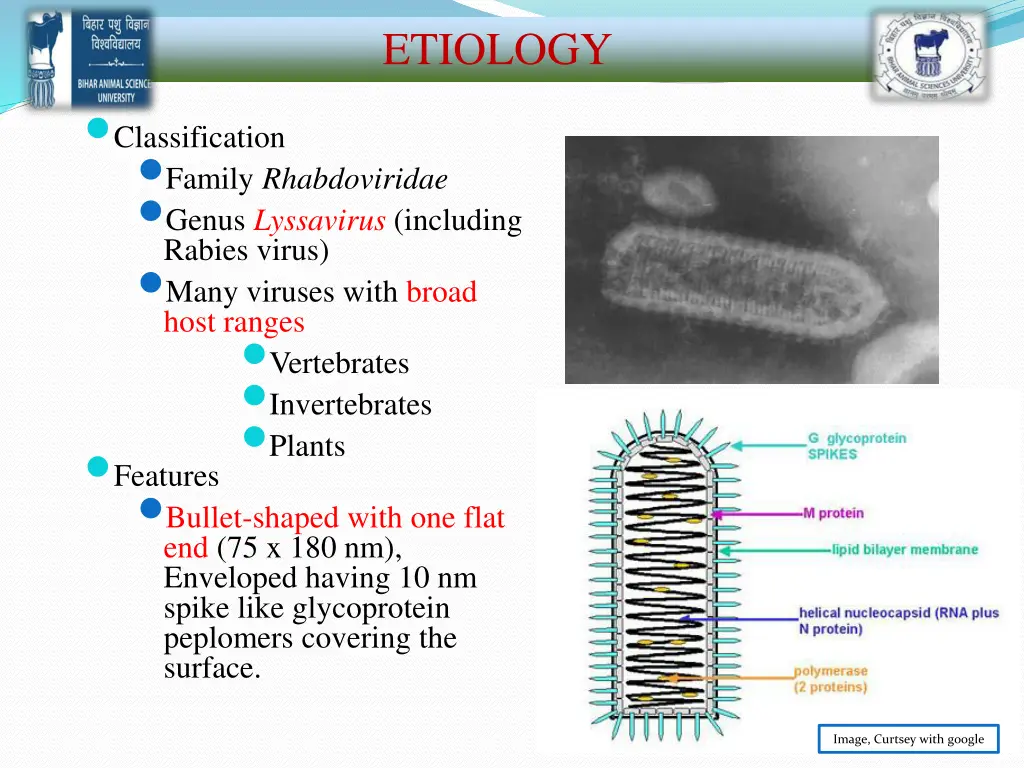 etiology