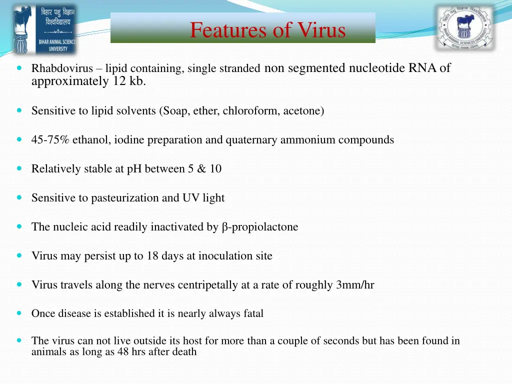 features of virus