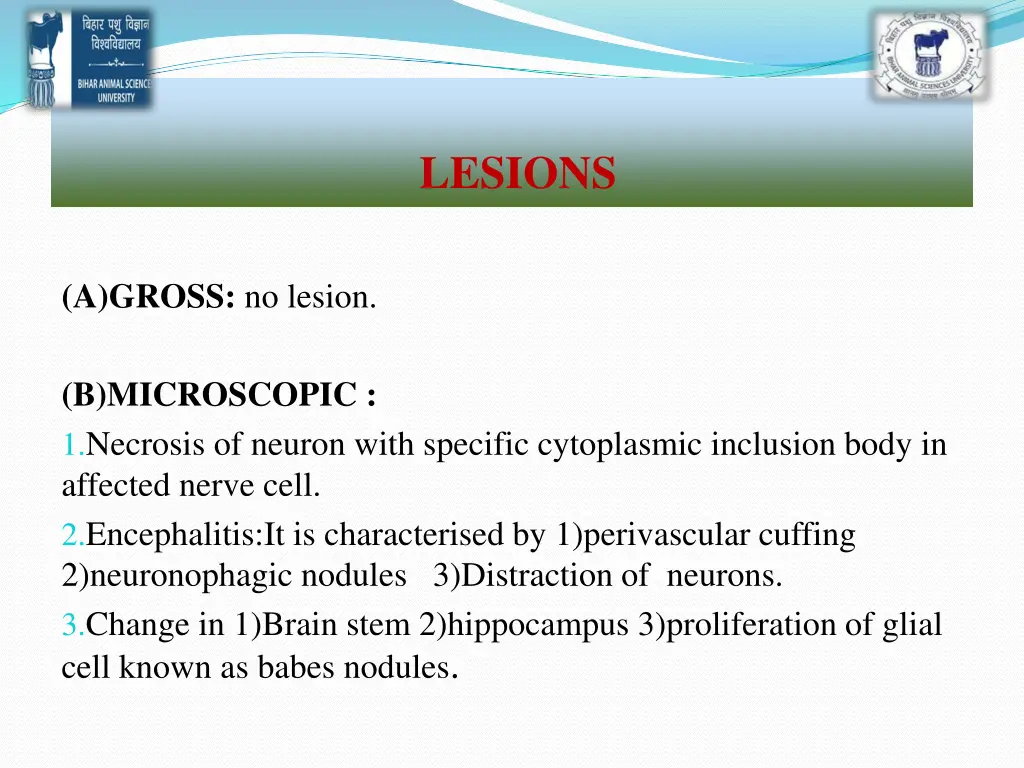 lesions