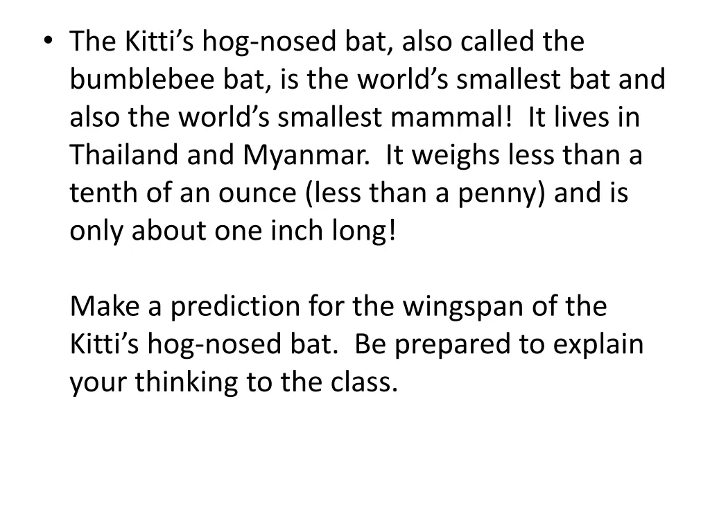 the kitti s hog nosed bat also called