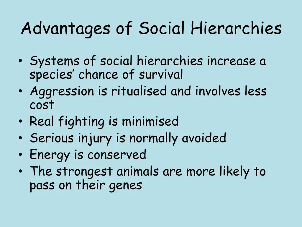 advantages of social hierarchies