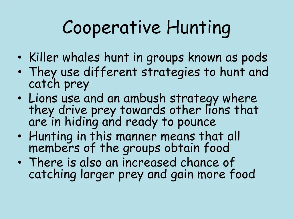 cooperative hunting 1