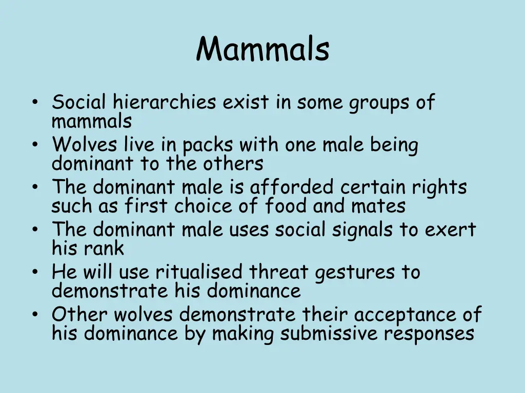 mammals