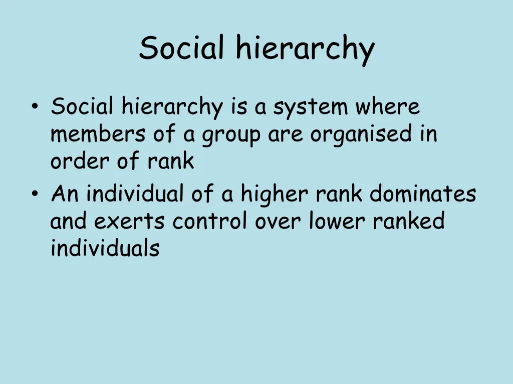 social hierarchy