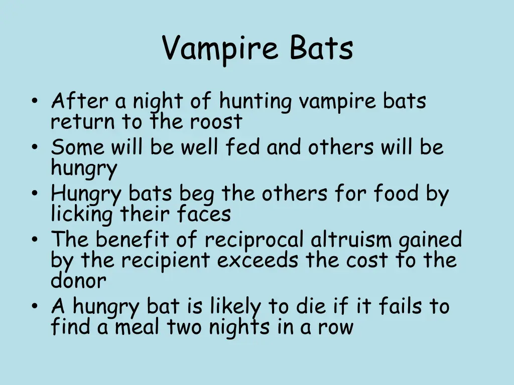 vampire bats