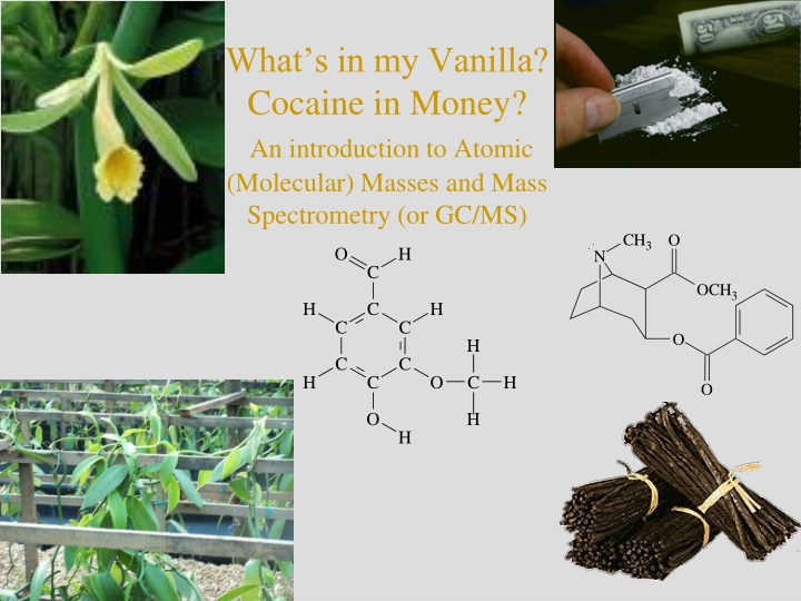 what s in my vanilla cocaine in money