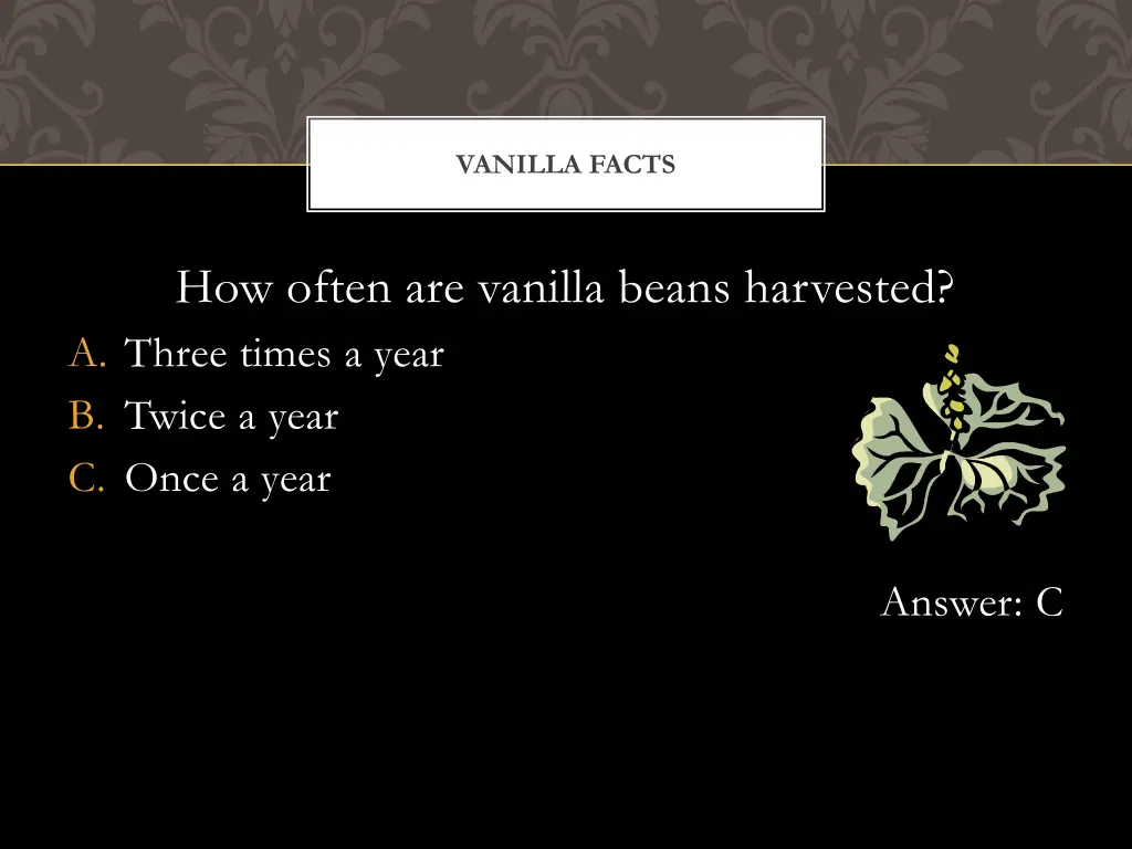 vanilla facts