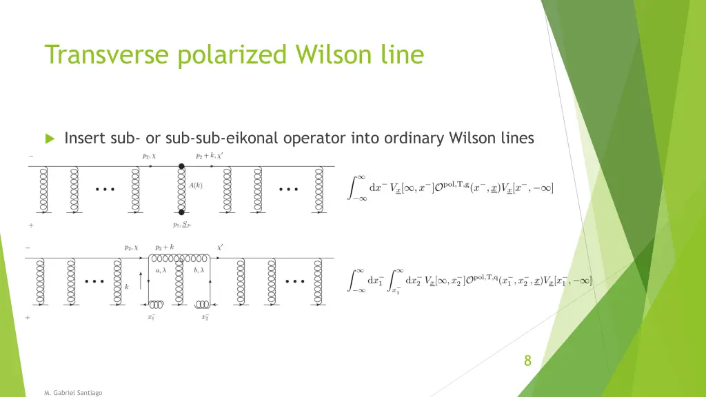 transverse polarized wilson line