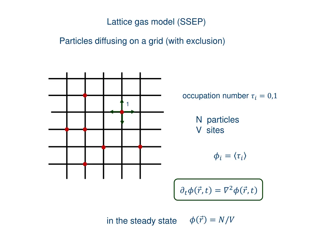 lattice gas model ssep