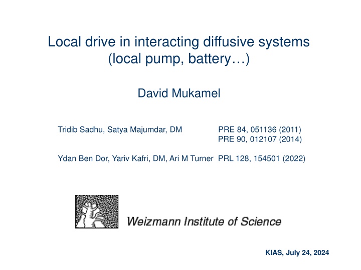 local drive in interacting diffusive systems