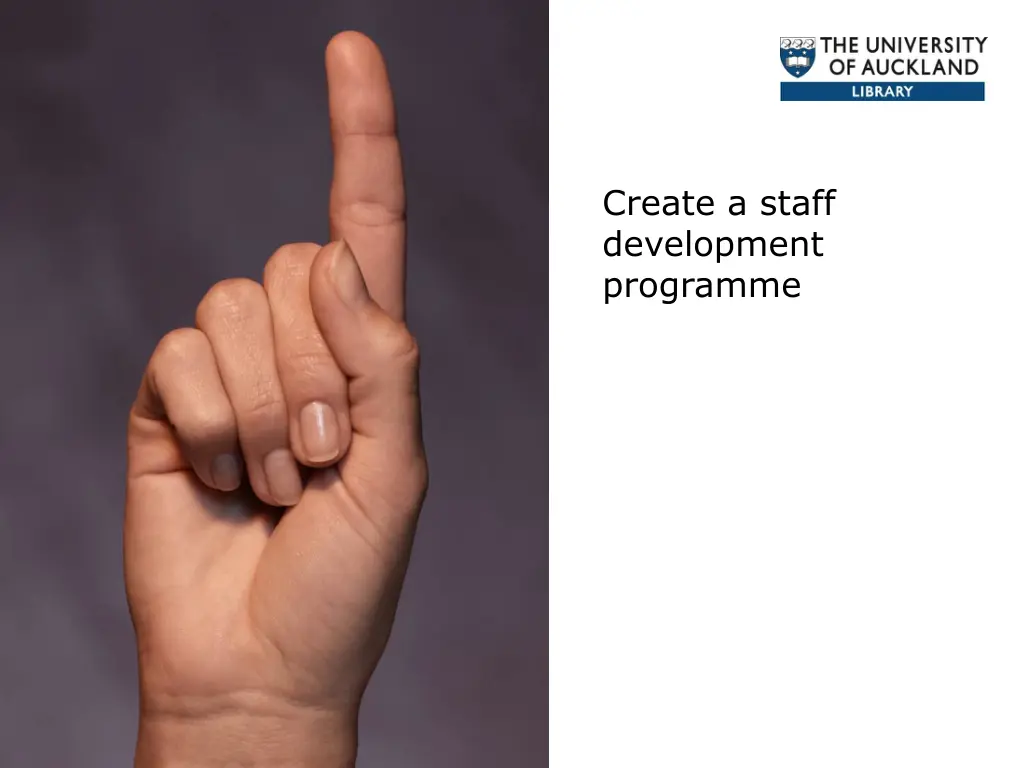 create a staff development programme