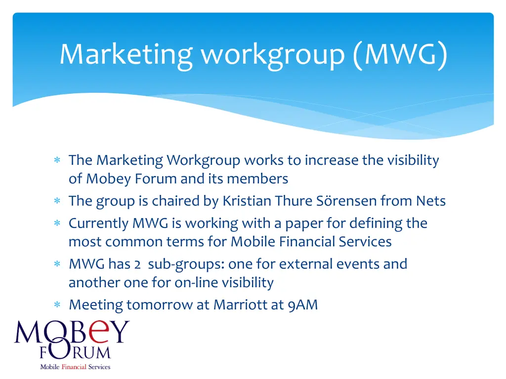 marketing workgroup mwg