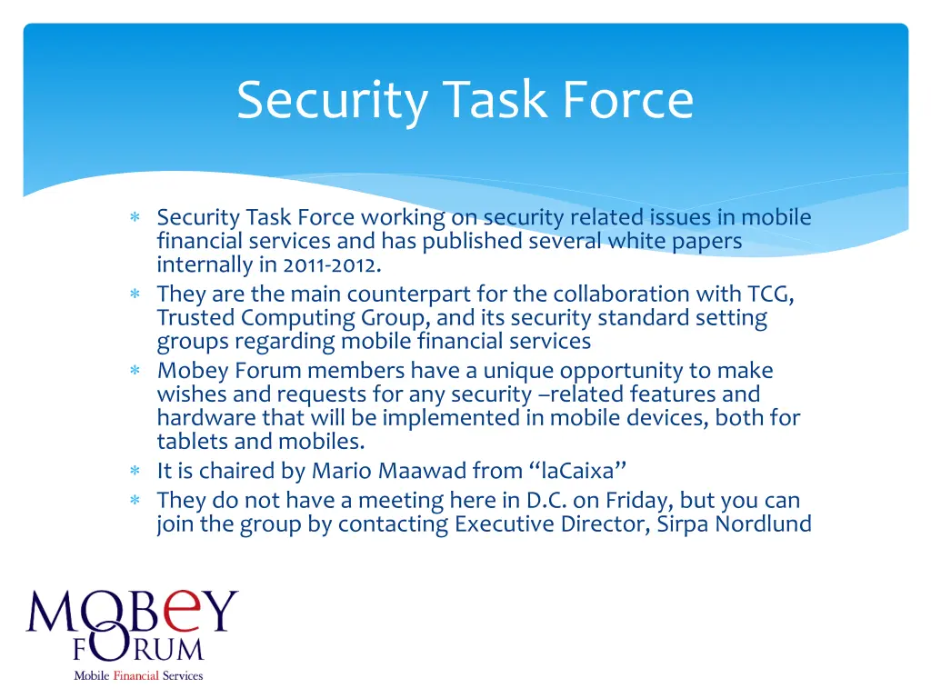 security task force