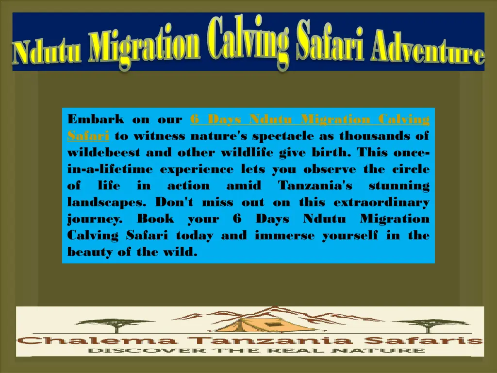 migration calving safari adventure migration 3