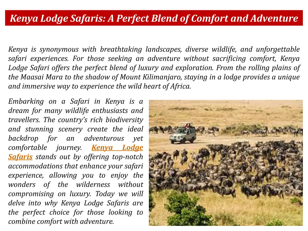 kenya lodge safaris a perfect blend of comfort