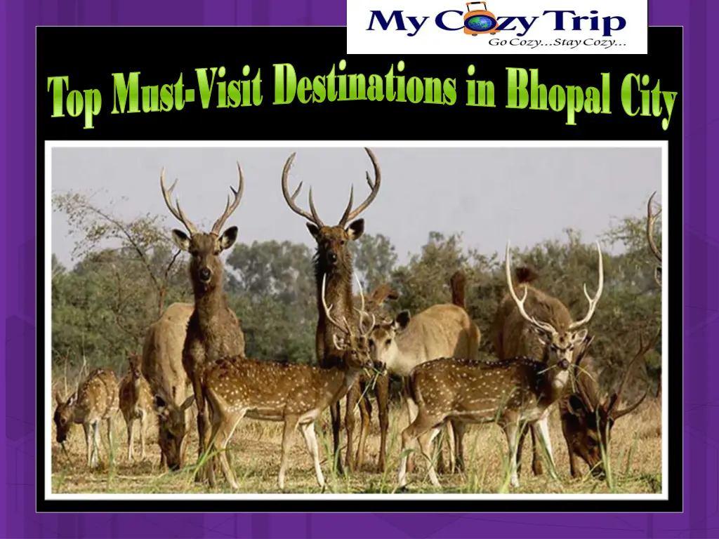 visit destinations in bhopal city visit 2