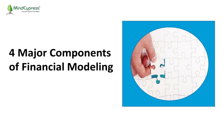 4 major components of financial modeling