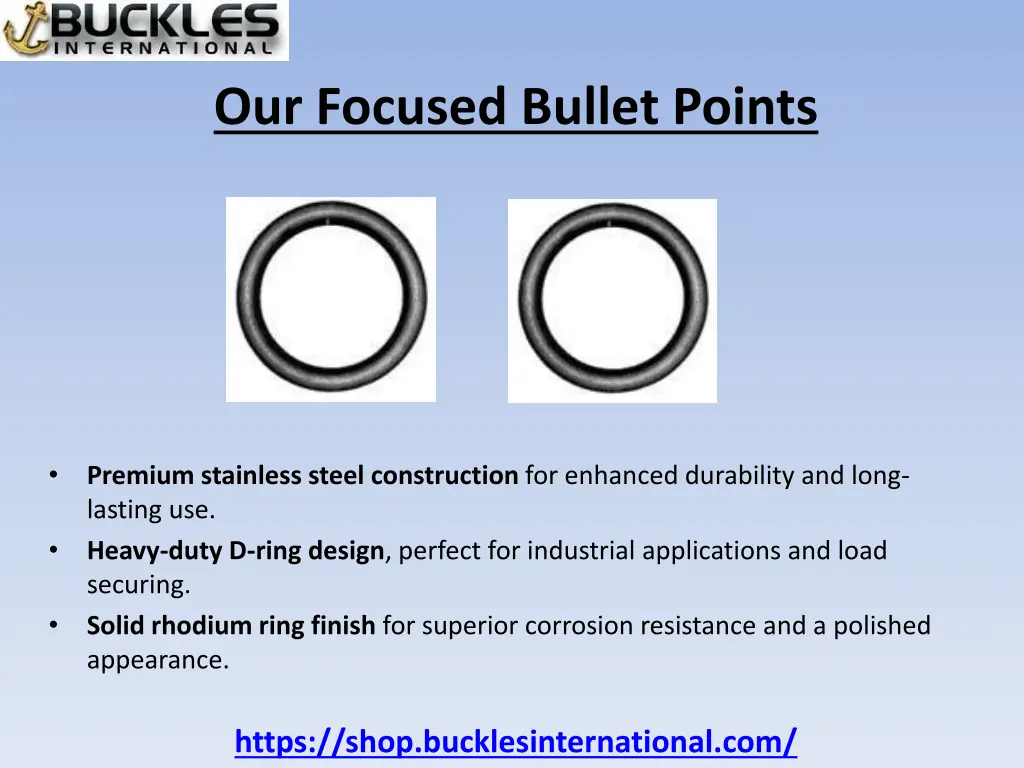 our focused bullet points