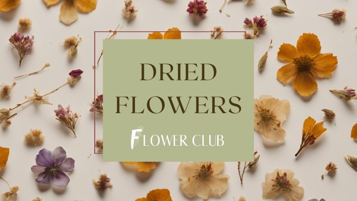 dried flowers