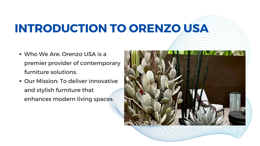 introduction to orenzo usa