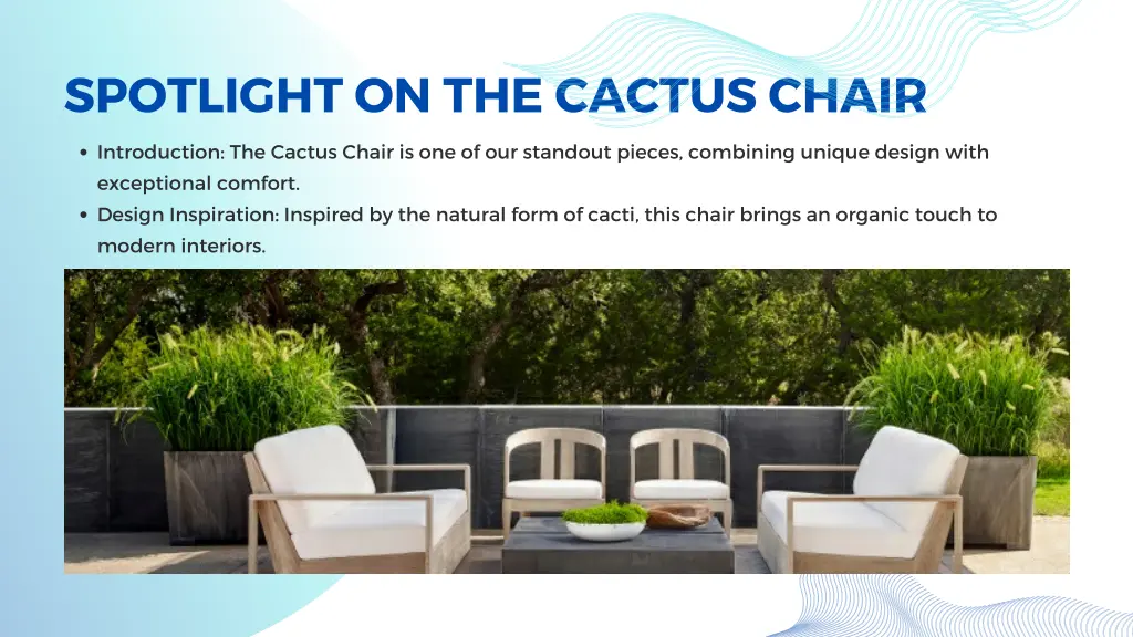 spotlight on the cactus chair