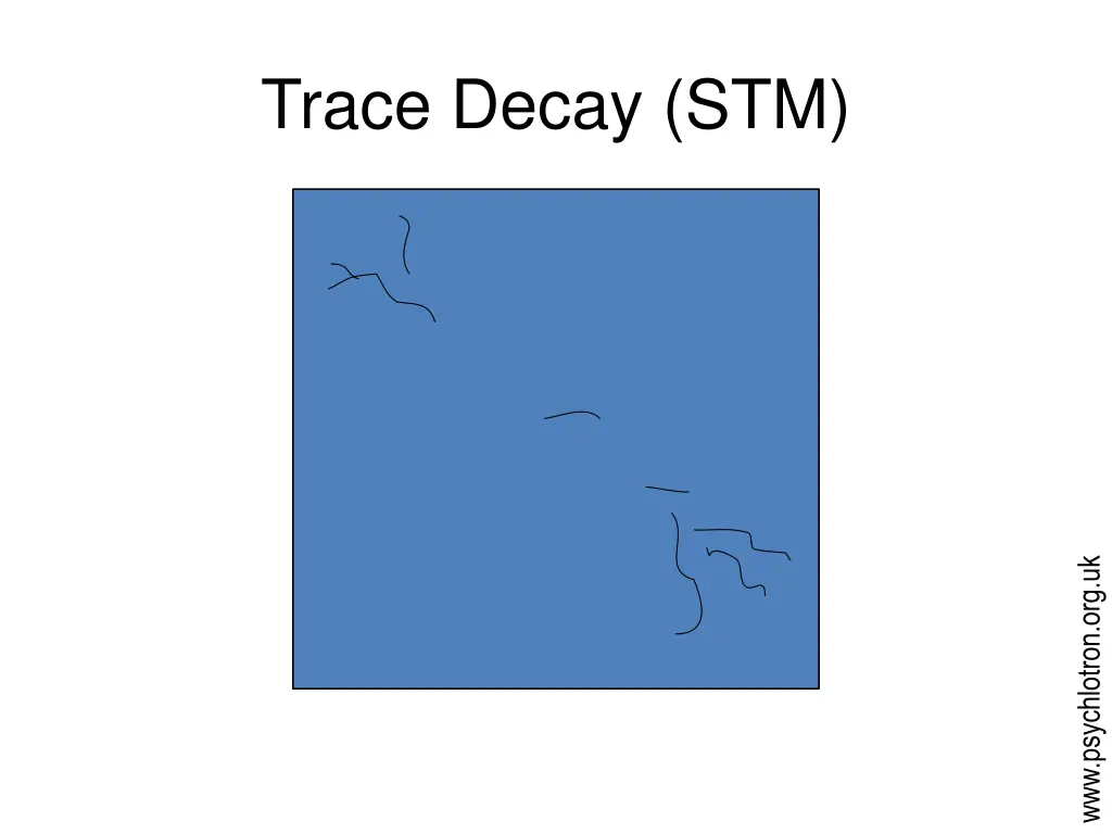 trace decay stm