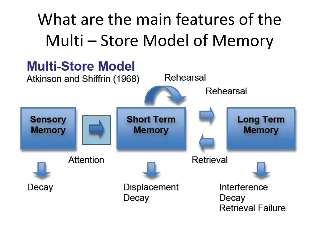 what are the main features of the multi store