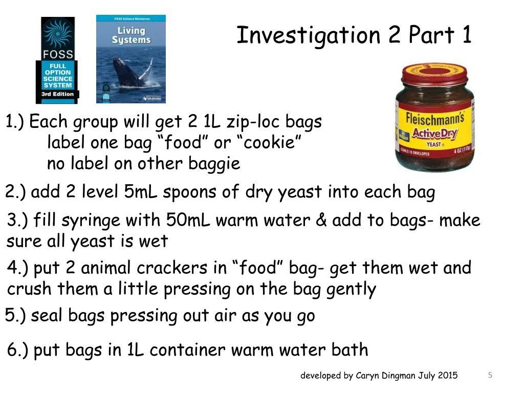 investigation 2 part 1