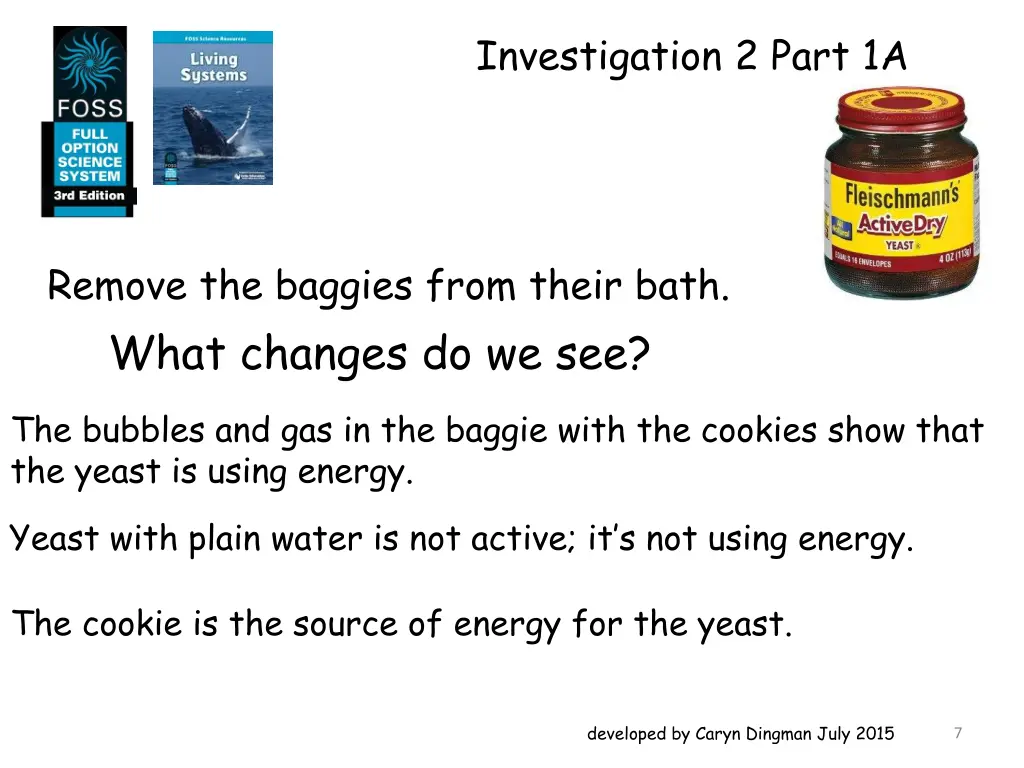 investigation 2 part 1a 3