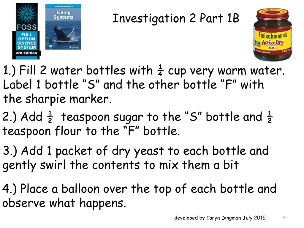 investigation 2 part 1b