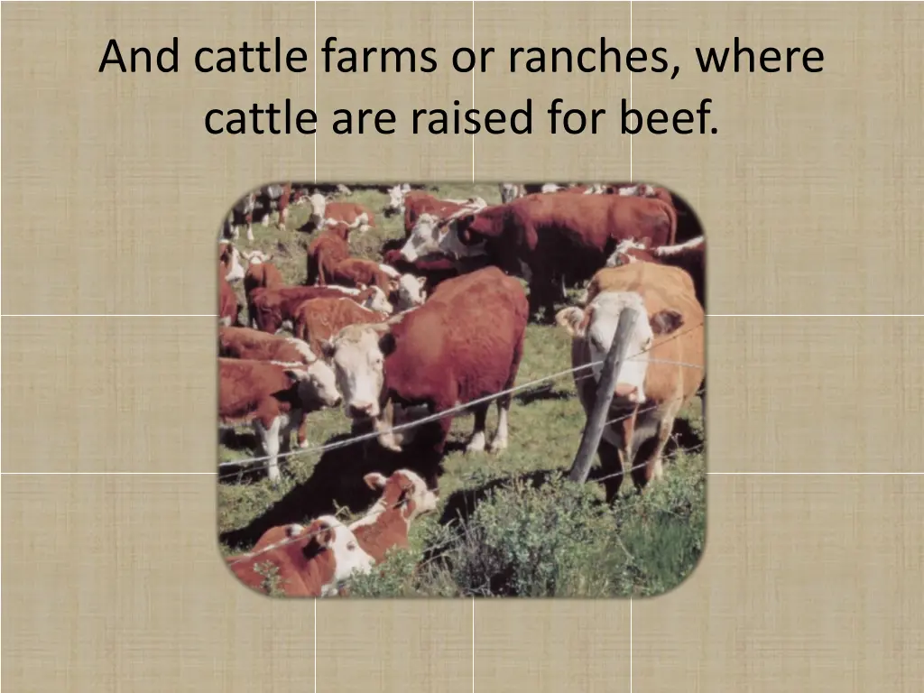 and cattle farms or ranches where cattle