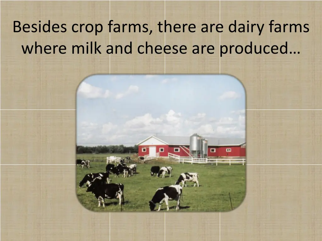 besides crop farms there are dairy farms where