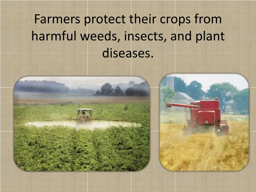 farmers protect their crops from harmful weeds