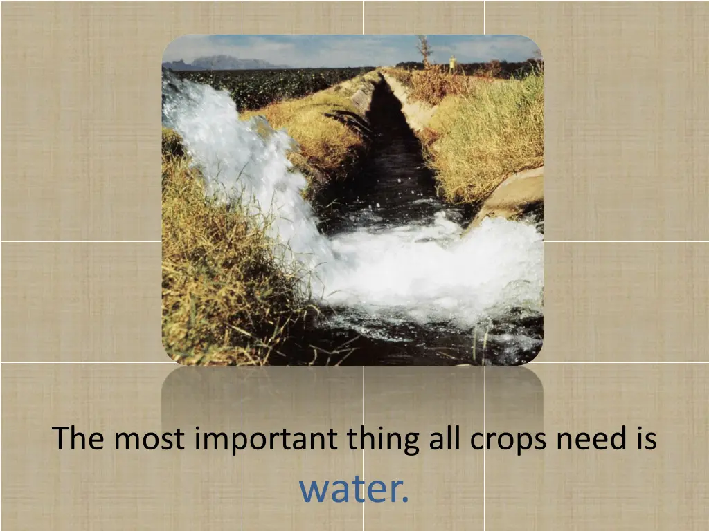 the most important thing all crops need is water