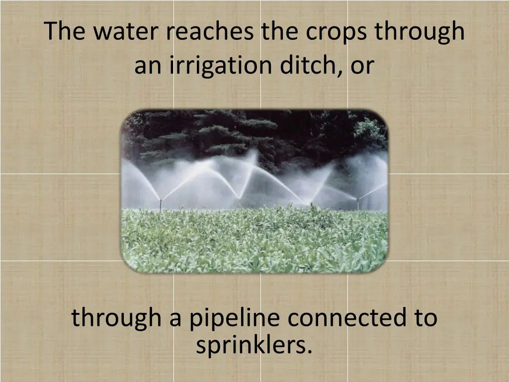 the water reaches the crops through an irrigation