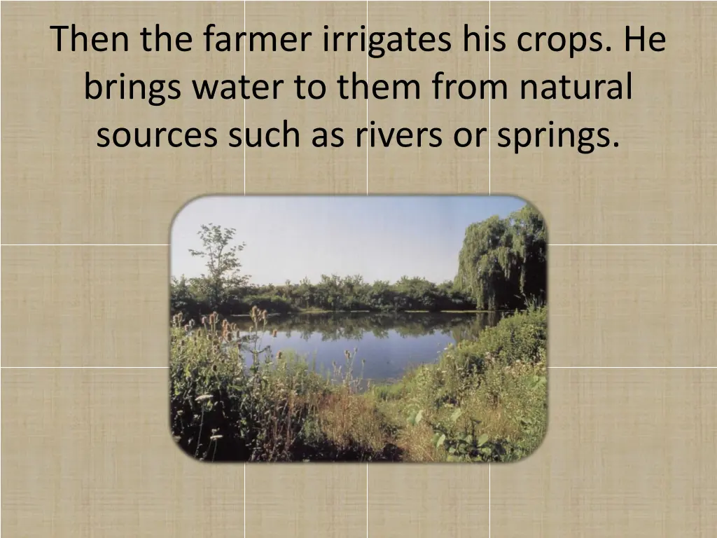 then the farmer irrigates his crops he brings