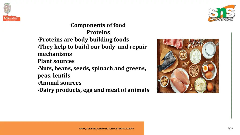 components of food proteins