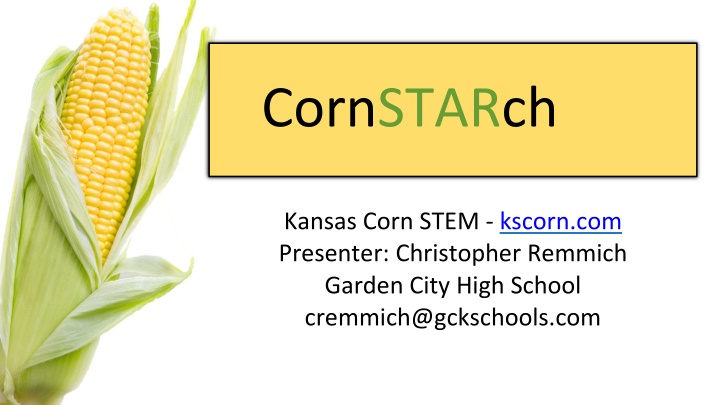 cornstarch