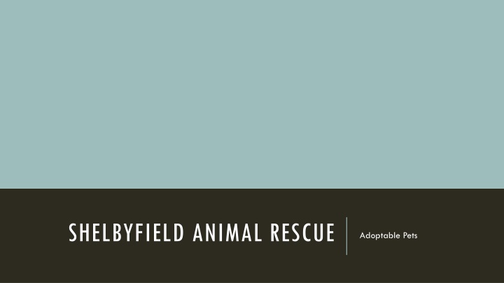 shelbyfield animal rescue