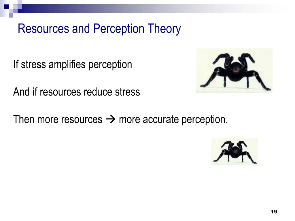 resources and perception theory