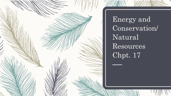 energy and conservation natural resources chpt 17