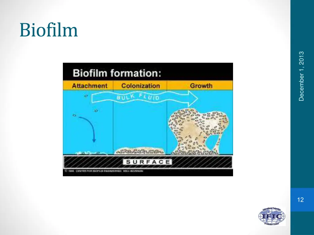 biofilm