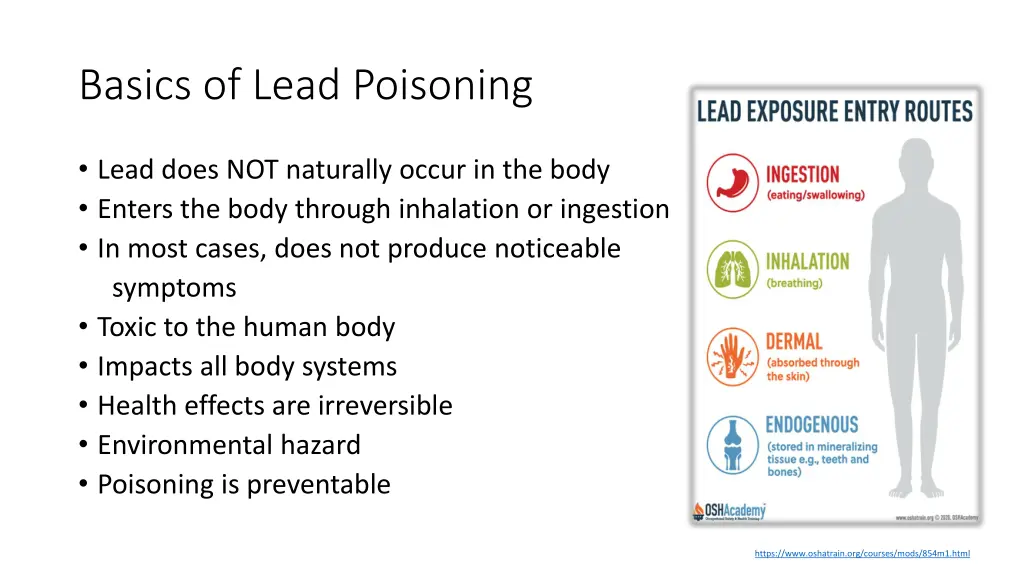 basics of lead poisoning